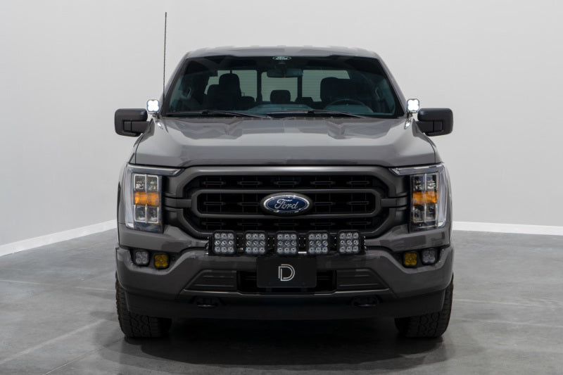 Diode Dynamics 21-22 Ford F-150 SS3 Stage Series Backlit Ditch Light Kit - Pro White Combo